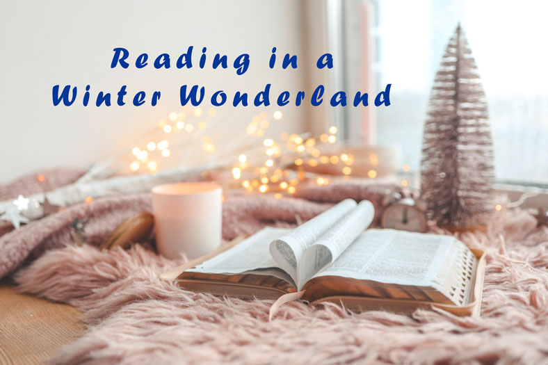 Reading in a Winter Wonderland